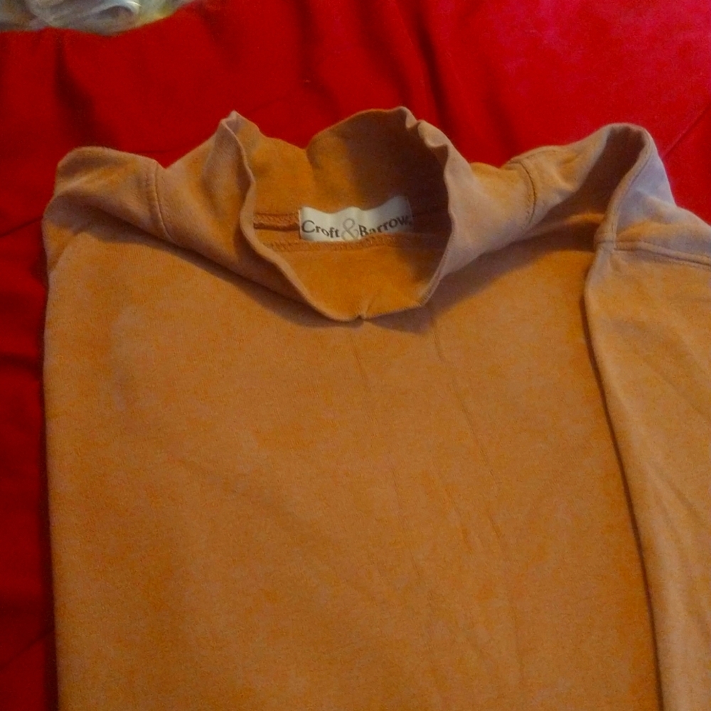 🌻5/$10 Women's Croft & Barrow® Essential Long Sleeve Mockneck Top